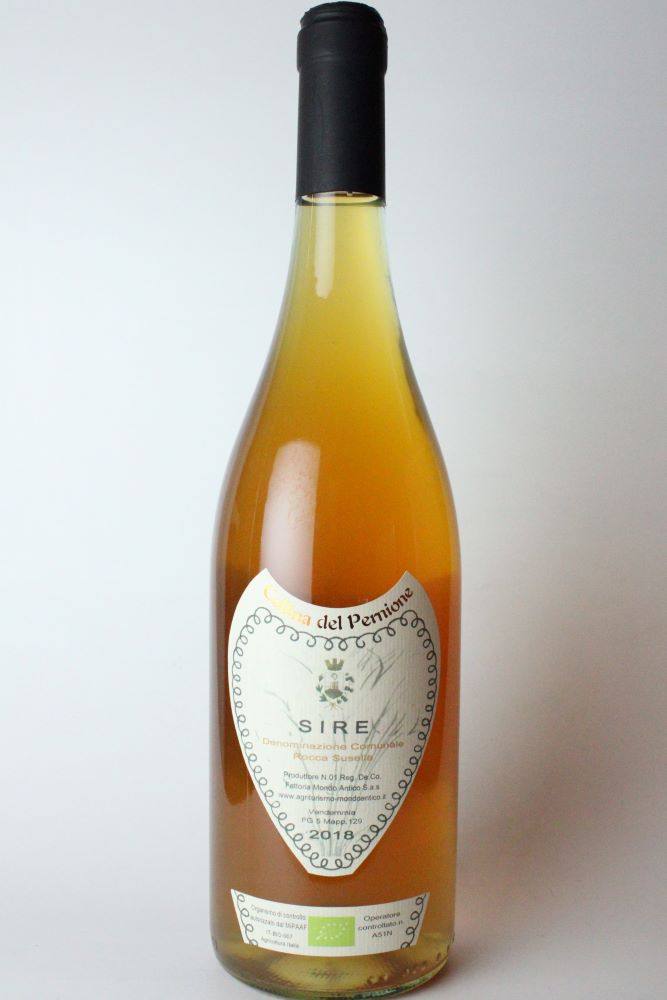 SIRE 2023　＜白＞