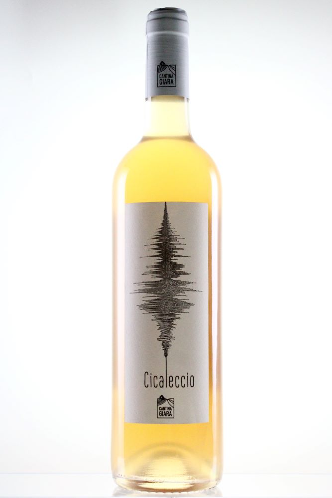 CICALECCIO 2022　＜白＞