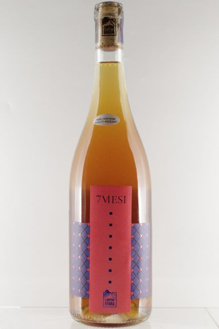 7 MESI 2022　＜白＞