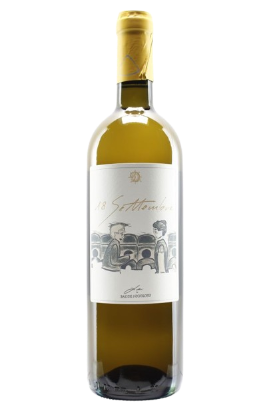 18 SETTEMBRE 2023　＜白＞JAS認証