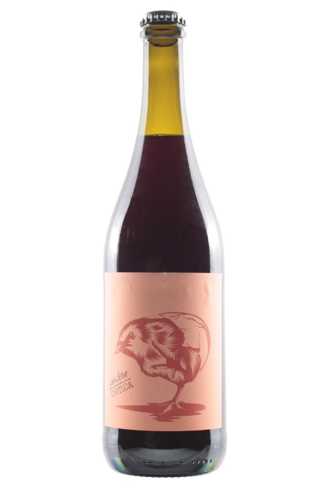 AGO 2022　＜赤＞