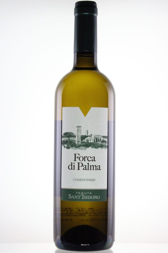 FORCA DI PALMA 2023　＜白＞